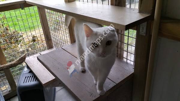 Kattenpension Othelius