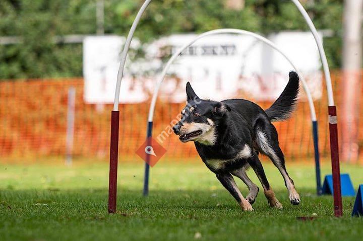 Kelpiebrink; dog sport and B & B dog sport bookings