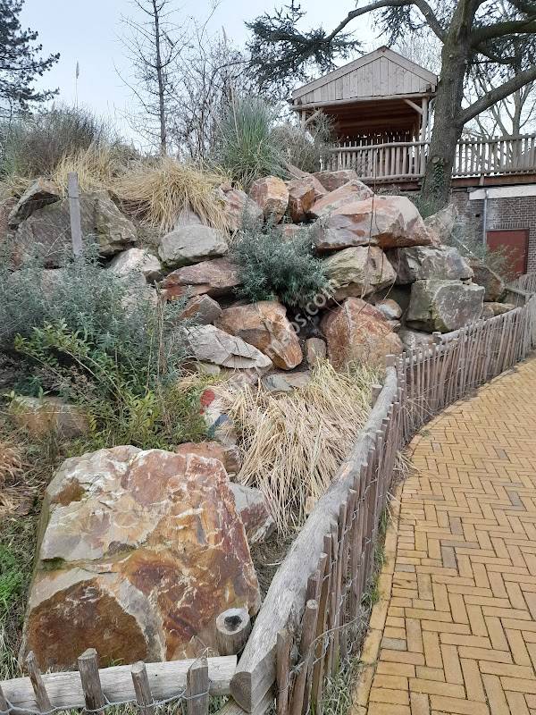 Kempervennen receptie