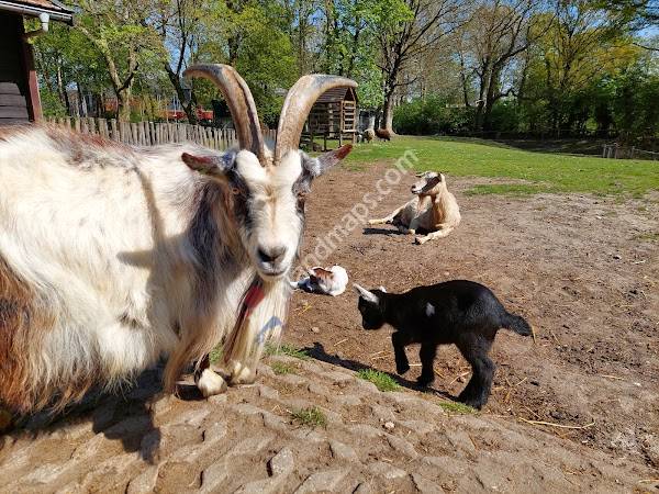 Kinderboerderij en Restaurant Hagerhof