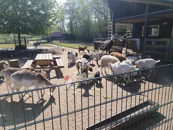 Kinderboerderij Jong Leven