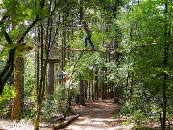 Klimbos Bergen op Zoom