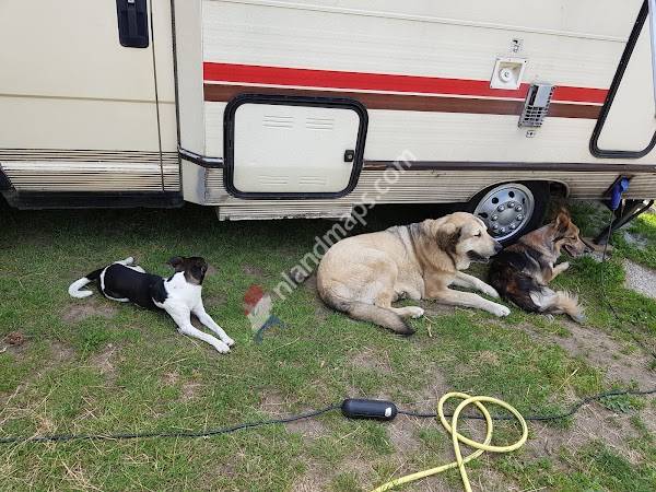 Koedambulant uw gezelschapsdierenarts aan huis