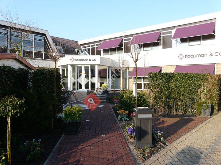 Koopman en Co