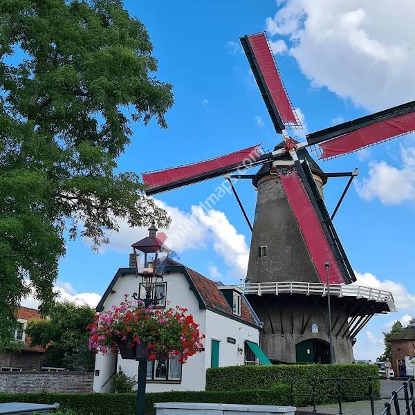 Korenmolen De Windotter