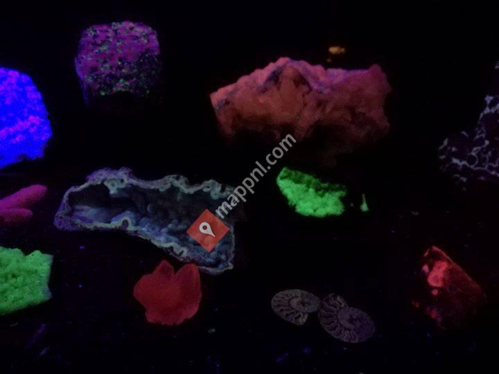 Kracht en Kleur Coaching