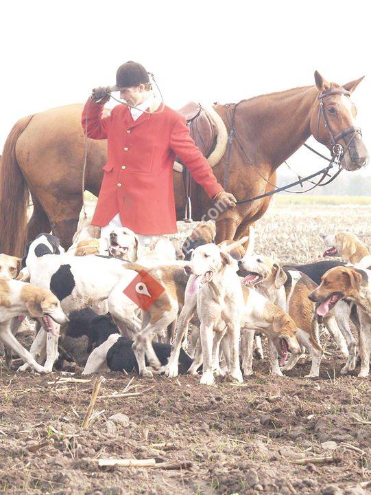 Krijn Tol Hunt & Horses