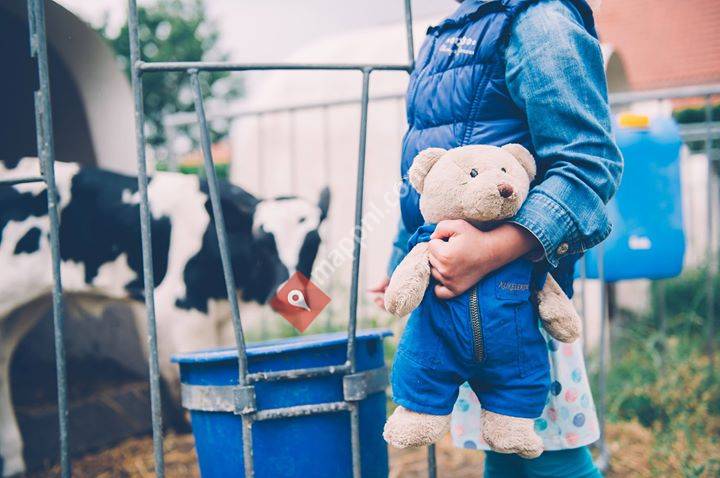 Kukelekoe Kinderopvang