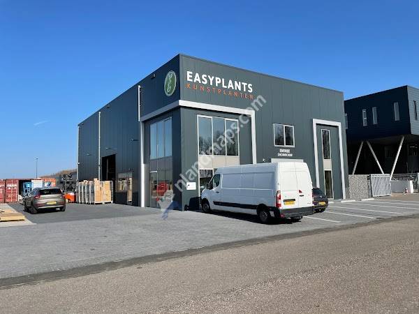 Kunstplanten Rotterdam - Easyplants Kunstplanten & Kunstbloemen & Kunsthaag