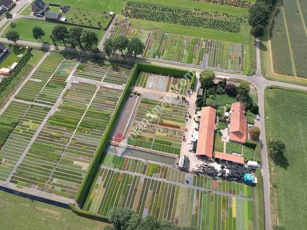 Kwekerij Cuijpers B.V.