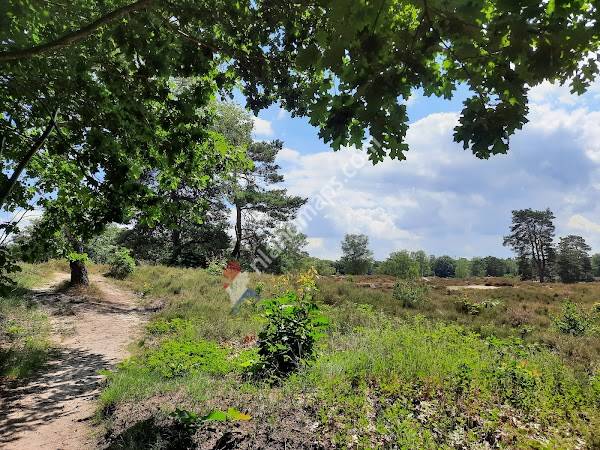 Landgoed Lievensberg