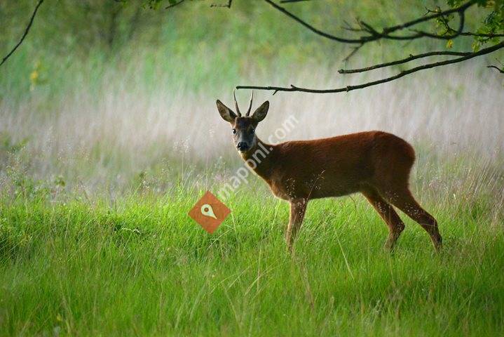 Landschap Overijssel