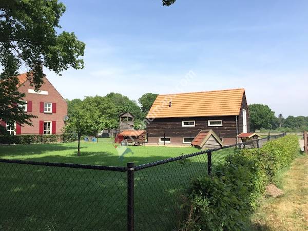 Maarten van Bussel Advies & Management