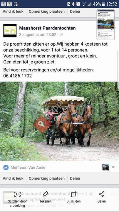 Maashorst Paardentochten