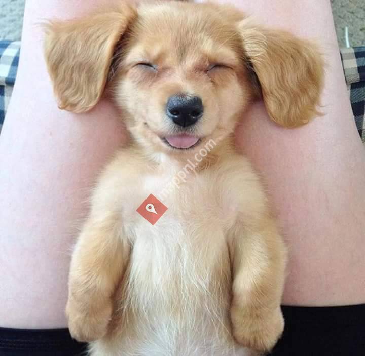 Marcel van der Leest rijopleidingen