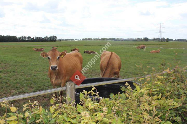 Melkveebedrijf familie Hollak