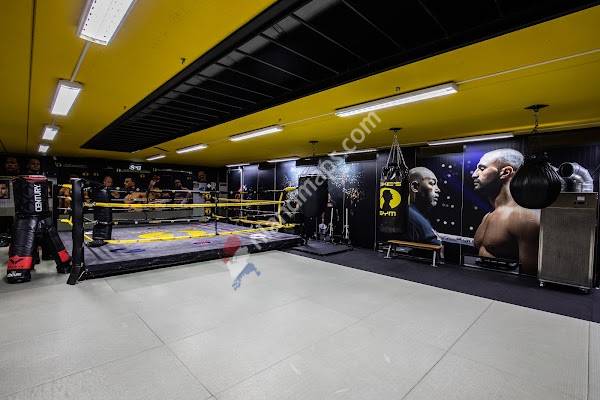 Mike's Gym