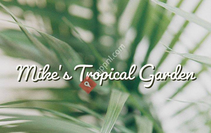 Mike's Tropical Garden