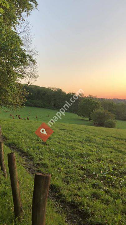 Mind-Walk Vaals
