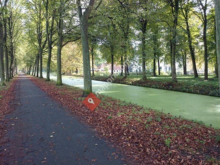 Mindful Run Albrandswaard