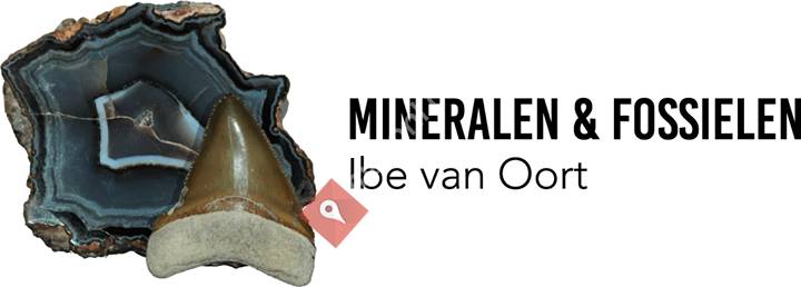 Mineralen en fossielen, Fossils minerals and more