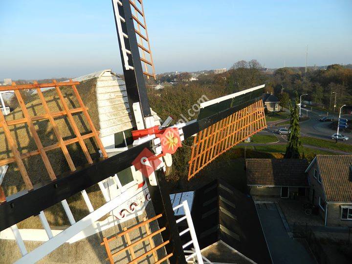 Molen de Arend