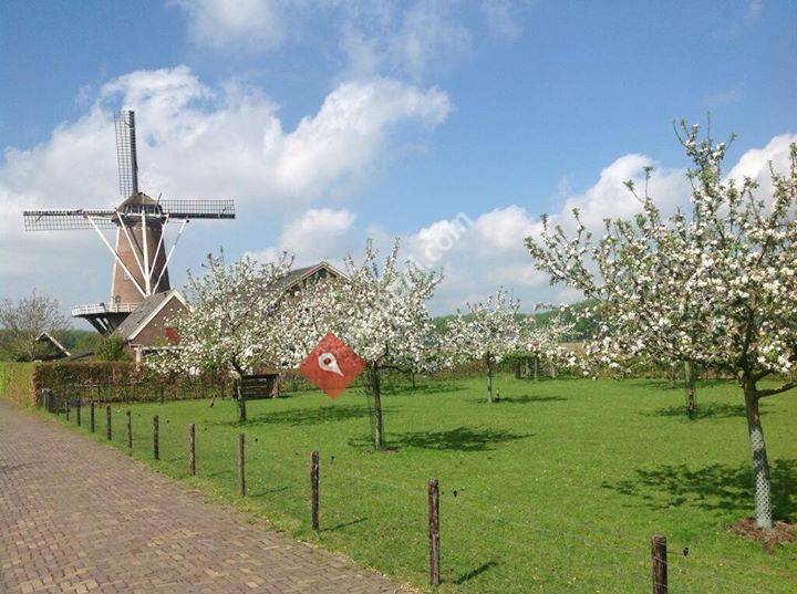 Molen Kapschuur