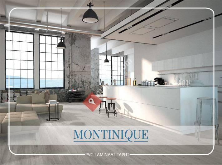 Montinique B.V.
