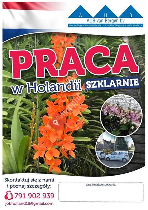 Natalia Tomasz Praca Holandia