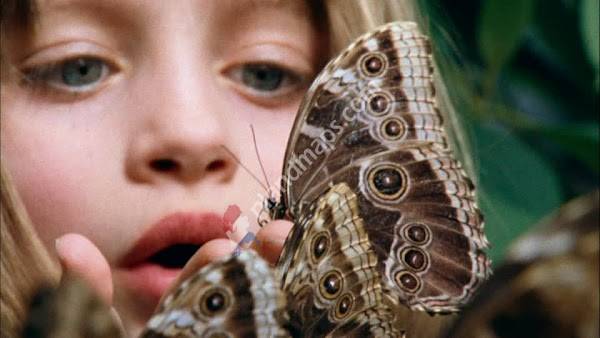 Natureluur de Vlindertuin Heythuysen