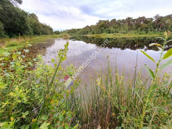 Natuurgebied 'Het Molenven' van Lanschap Overijssel