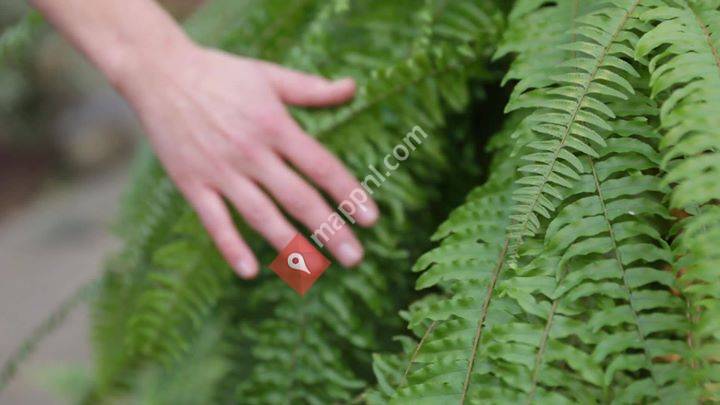 Natuurlijk Sofie