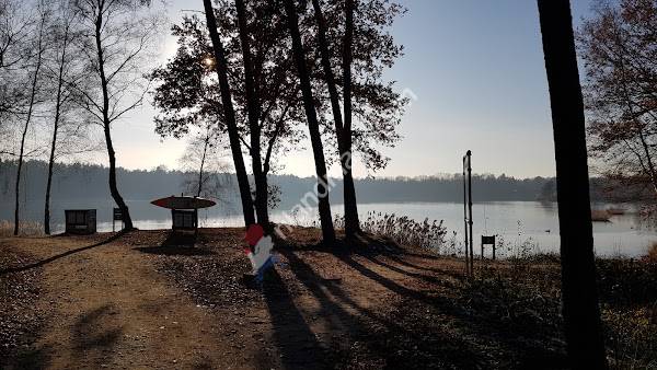 Natuurwandeling Center Parcs