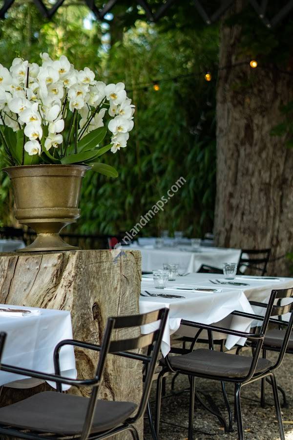 Nick Vollebregt | Jazzy Bar | Bistronomie | Terras