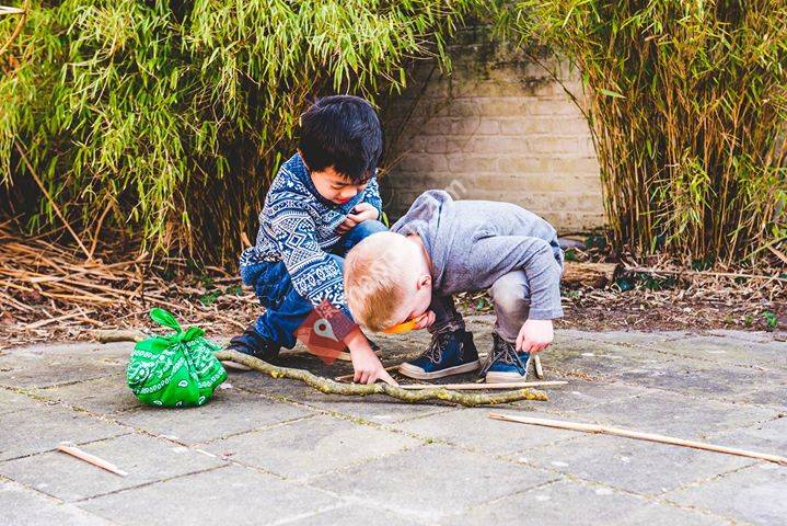 OBS De Wildschut
