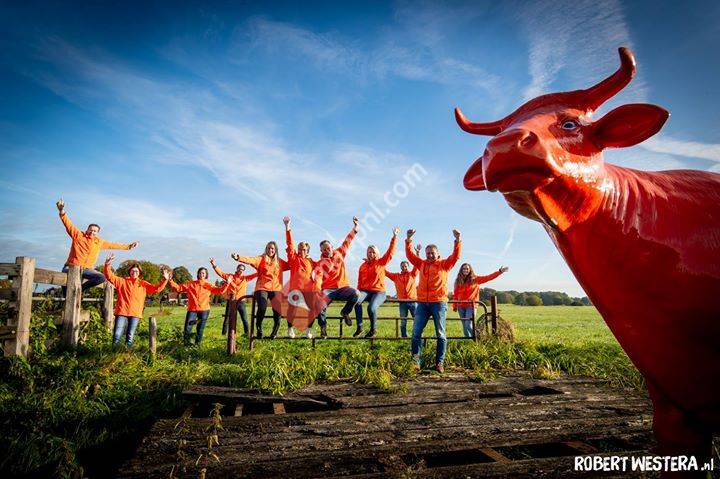 Oranjevereniging Dalfsen