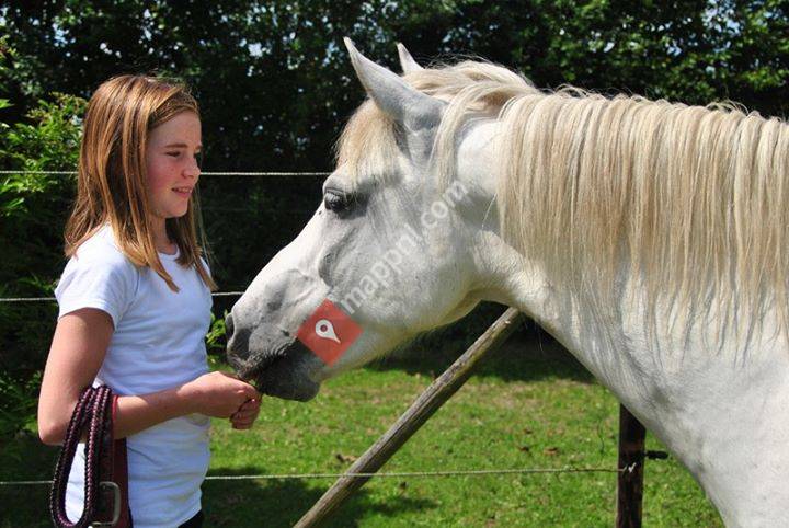 Paardencentrum Epona