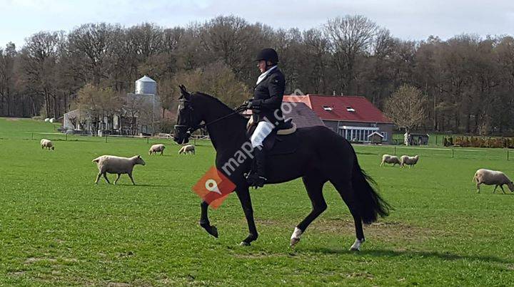 Paardenhouderij Veltmaat