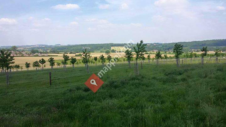 Paardenstalling Wiertz