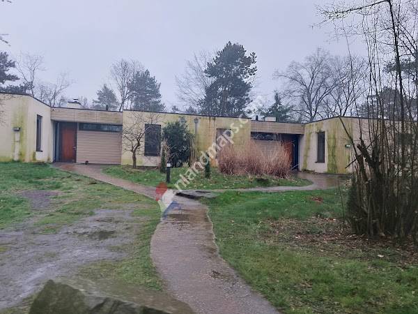 Parkeerplaats A Center Parcs De Kempervennen