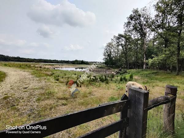 Parkeerplaats Café Basten