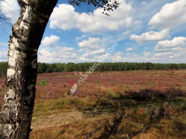 Parkeerplaats Koningsheide