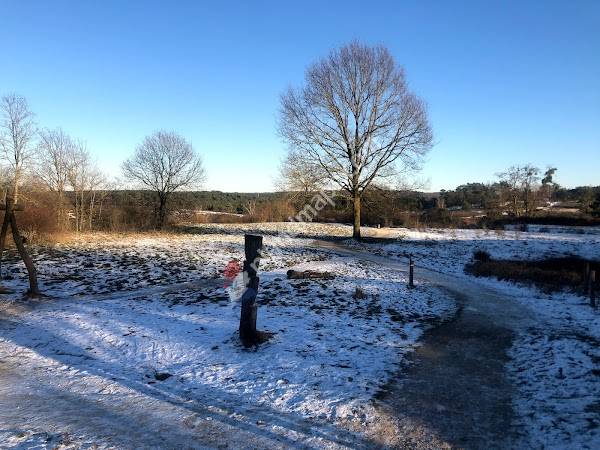 Parkeren Brunssummerheide-Noord
