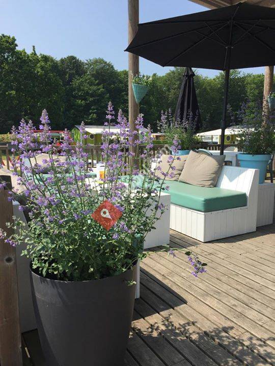 Paviljoen de Zomerzoen