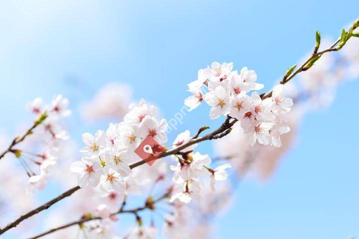 Pedicurepraktijk Voetplein Liesbeth van Nieuwenhoven