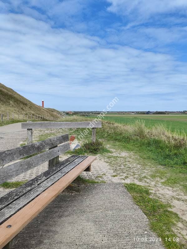 Picknicklocatie In Den Duynen