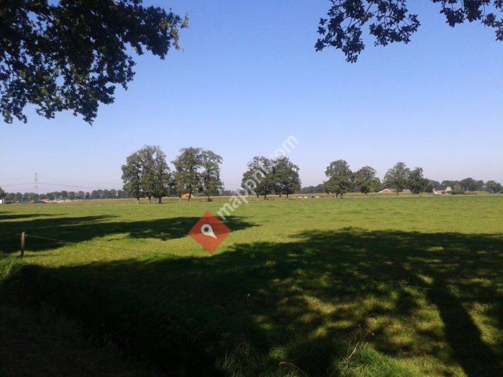 Plaatselijk Belang Ankum e.o.