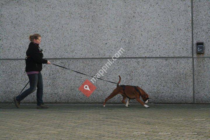 Praktijkspeuren Groningen e.o