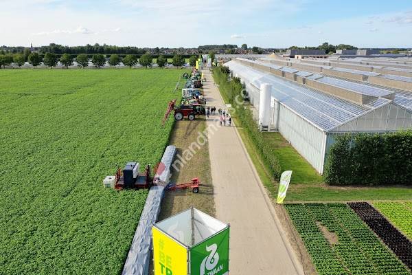 Rijk Zwaan Breeding B.V.