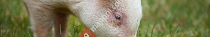 Roggelse Heide Zorgverlening